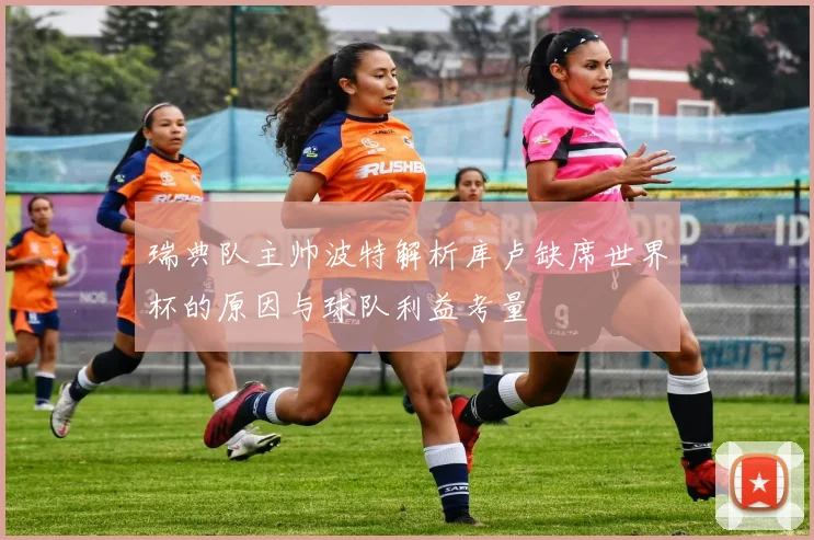 瑞典队主帅波特解析库卢缺席世界杯的原因与球队利益考量